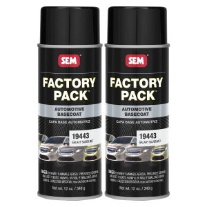 Factory Pack GM WA519F Galaxy Silver Met 12 oz (2/Pack)