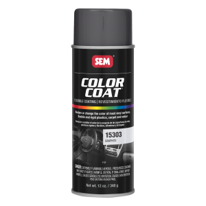 Color Coat Graphite (12 oz.)