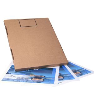 3M 36901 Interior Protection 17 in. x 19 in. Automotive Floor Mat (250/Pack)