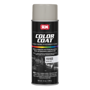 Color Coat Warm Gray (12 oz.)